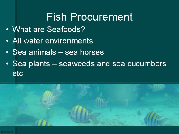 Fish Procurement • • What are Seafoods? All water environments Sea animals – sea