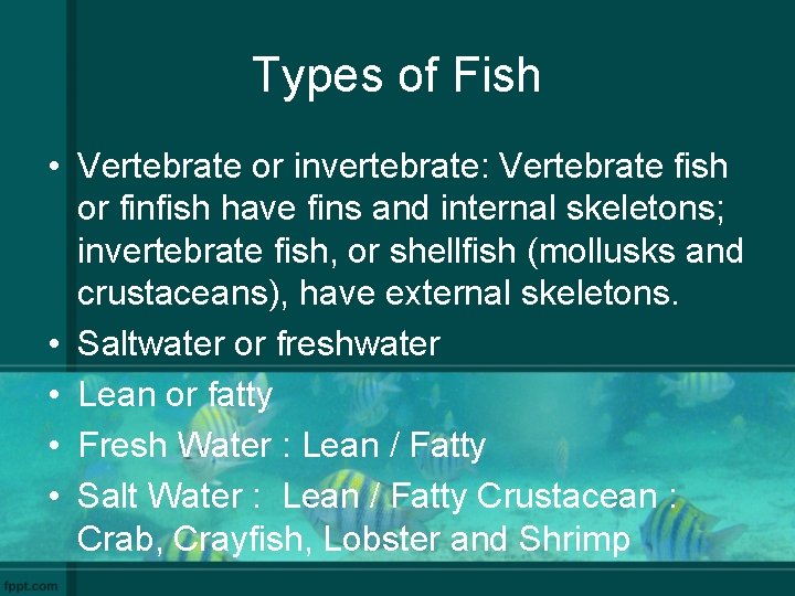 Types of Fish • Vertebrate or invertebrate: Vertebrate fish or finfish have fins and