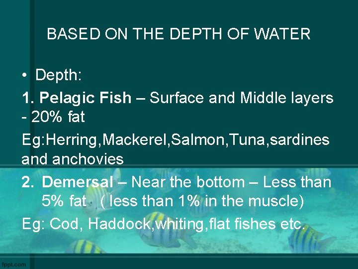 BASED ON THE DEPTH OF WATER • Depth: 1. Pelagic Fish – Surface and