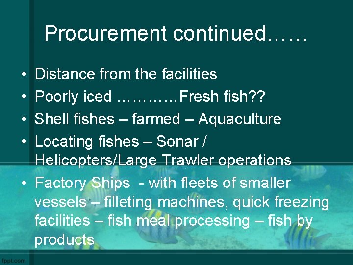 Procurement continued…… • • Distance from the facilities Poorly iced …………Fresh fish? ? Shell