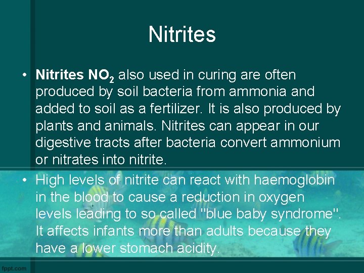 Nitrites • Nitrites NO 2 also used in curing are often produced by soil