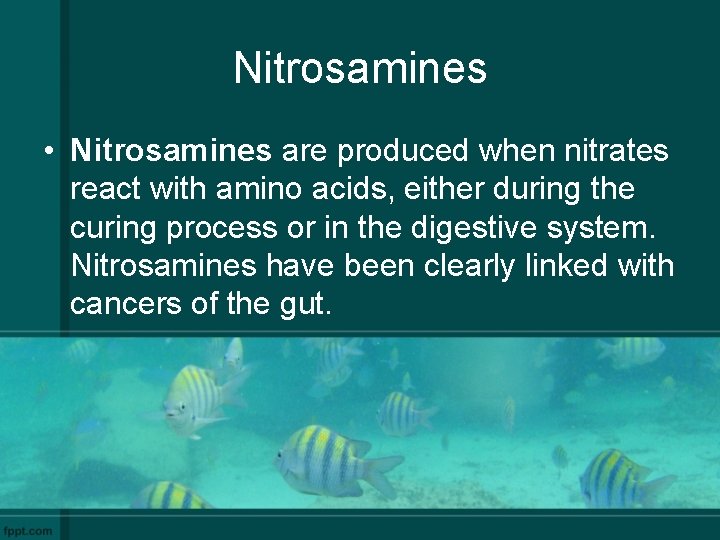 Nitrosamines • Nitrosamines are produced when nitrates react with amino acids, either during the