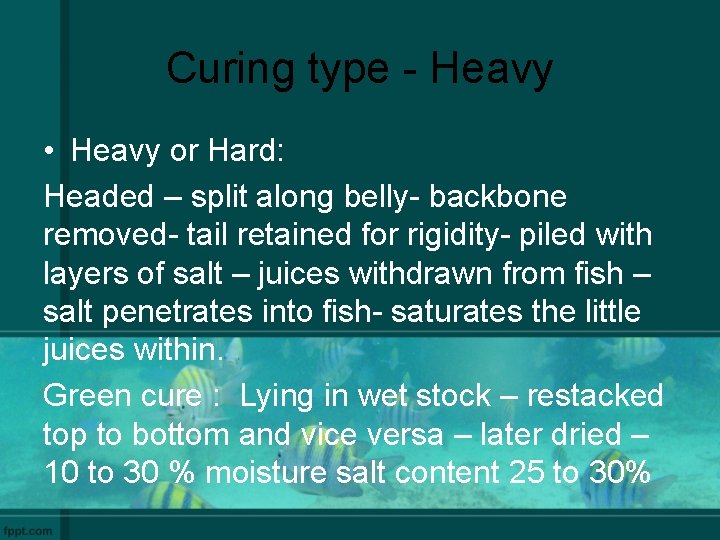 Curing type - Heavy • Heavy or Hard: Headed – split along belly- backbone