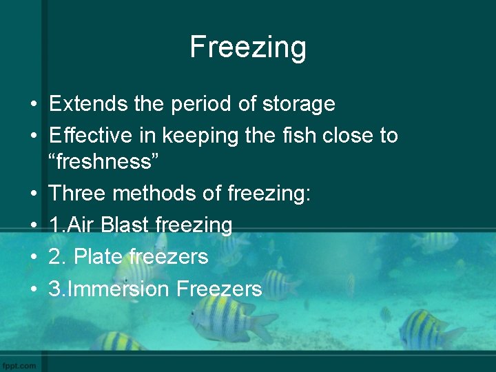 Freezing • Extends the period of storage • Effective in keeping the fish close