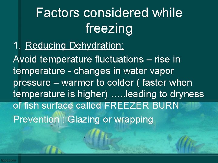 Factors considered while freezing 1. Reducing Dehydration: Avoid temperature fluctuations – rise in temperature
