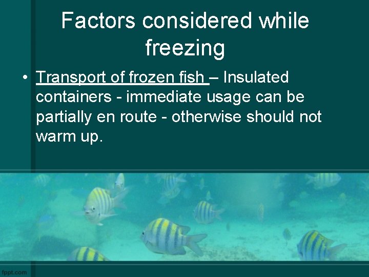 Factors considered while freezing • Transport of frozen fish – Insulated containers - immediate