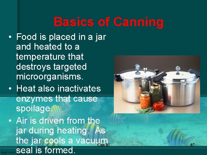 Basics of Canning • Food is placed in a jar and heated to a