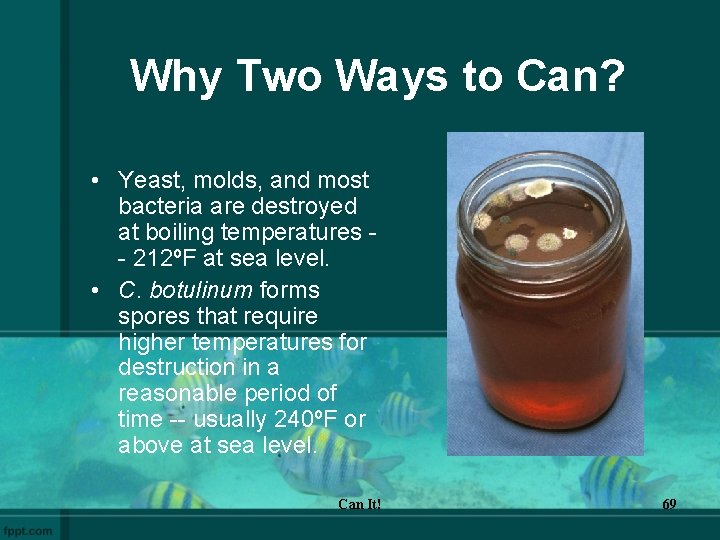 Why Two Ways to Can? • Yeast, molds, and most bacteria are destroyed at