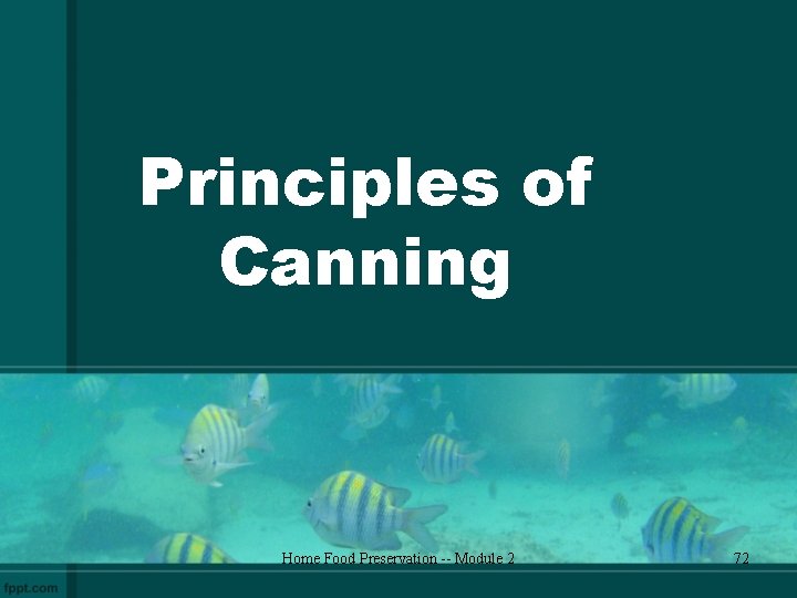 Principles of Canning Home Food Preservation -- Module 2 72 