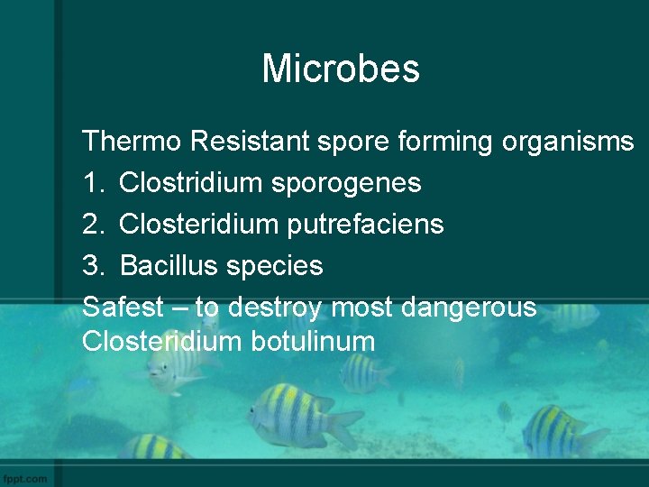 Microbes Thermo Resistant spore forming organisms 1. Clostridium sporogenes 2. Closteridium putrefaciens 3. Bacillus