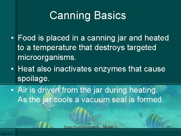 Canning Basics • Food is placed in a canning jar and heated to a