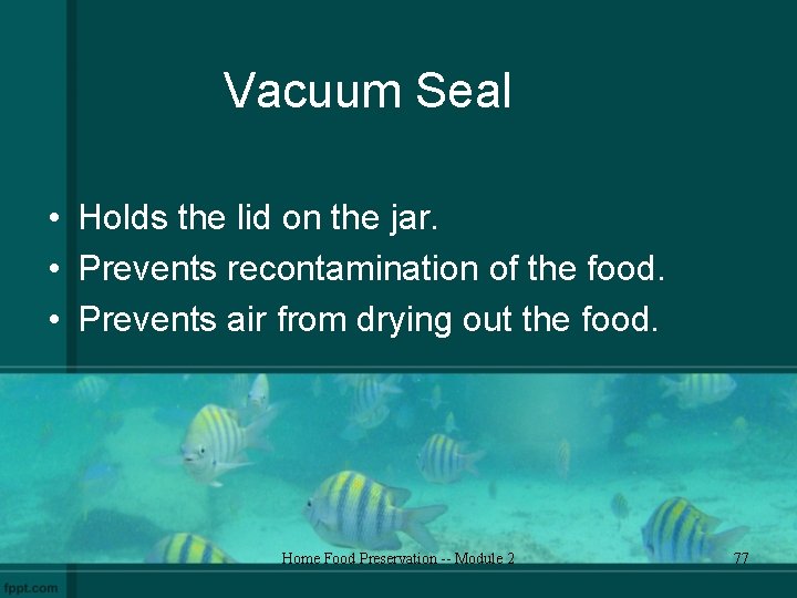 Vacuum Seal • Holds the lid on the jar. • Prevents recontamination of the