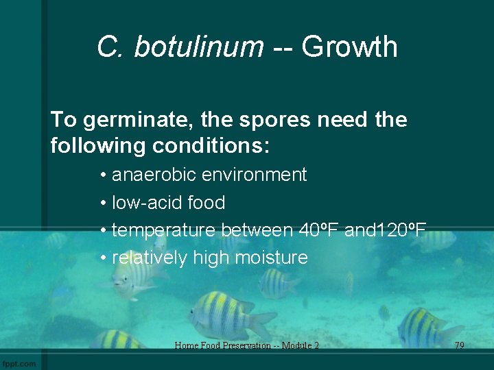 C. botulinum -- Growth To germinate, the spores need the following conditions: • anaerobic