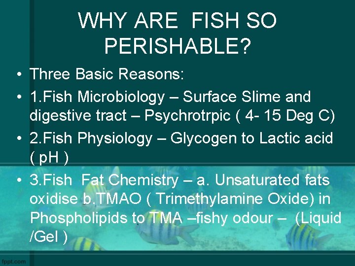 WHY ARE FISH SO PERISHABLE? • Three Basic Reasons: • 1. Fish Microbiology –