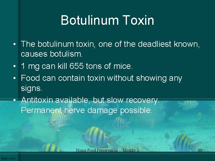 Botulinum Toxin • The botulinum toxin, one of the deadliest known, causes botulism. •