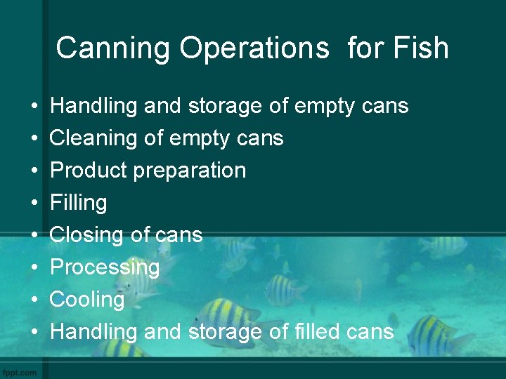 Canning Operations for Fish • • Handling and storage of empty cans Cleaning of