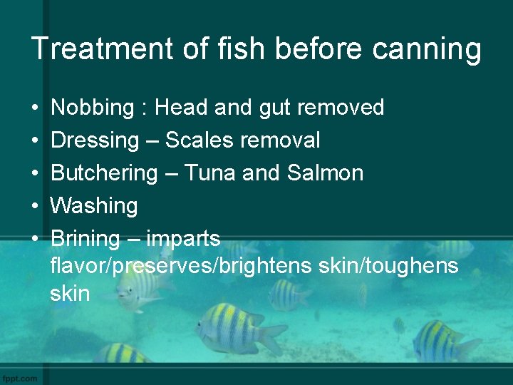 Treatment of fish before canning • • • Nobbing : Head and gut removed