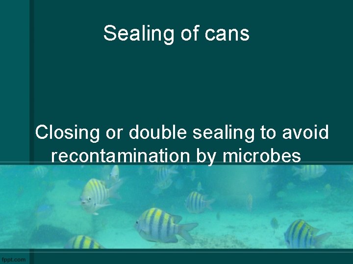 Sealing of cans Closing or double sealing to avoid recontamination by microbes 