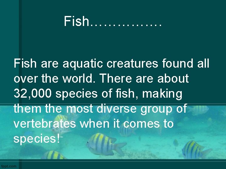 Fish……………. Fish are aquatic creatures found all over the world. There about 32, 000