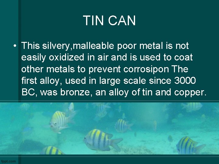 TIN CAN • This silvery, malleable poor metal is not easily oxidized in air