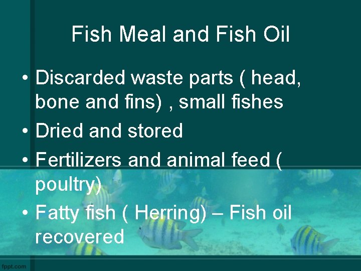 Fish Meal and Fish Oil • Discarded waste parts ( head, bone and fins)