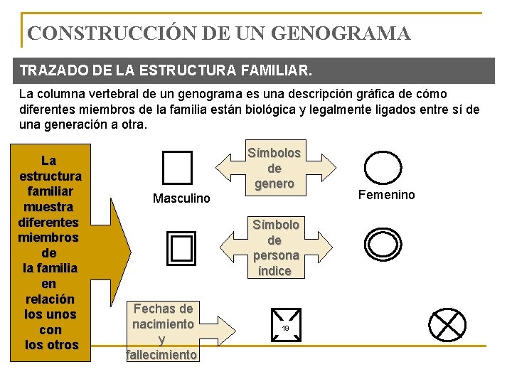 CONSTRUCCIÓN DE UN GENOGRAMA TRAZADO DE LA ESTRUCTURA FAMILIAR. La columna vertebral de un