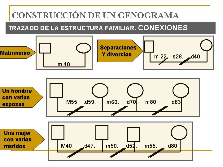 CONSTRUCCIÓN DE UN GENOGRAMA TRAZADO DE LA ESTRUCTURA FAMILIAR. CONEXIONES Separaciones Y divorcios Matrimonio