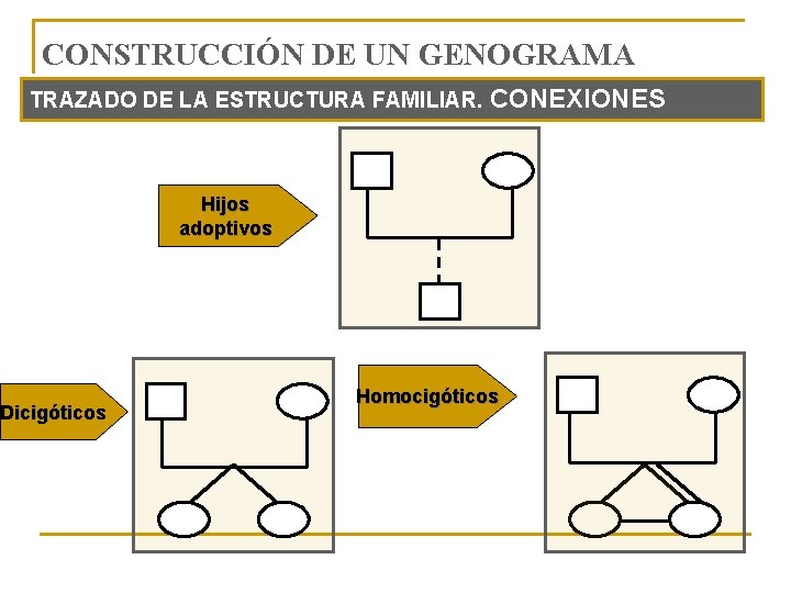 CONSTRUCCIÓN DE UN GENOGRAMA TRAZADO DE LA ESTRUCTURA FAMILIAR. CONEXIONES Dicigóticos Hijos adoptivos Homocigóticos