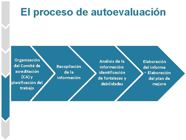 El proceso de autoevaluación Organización del Comité de acreditación (CA) y planificación del trabajo