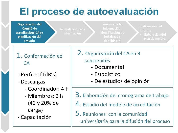 El proceso de autoevaluación Organización del Comité de acreditación (CA) y planificación del trabajo
