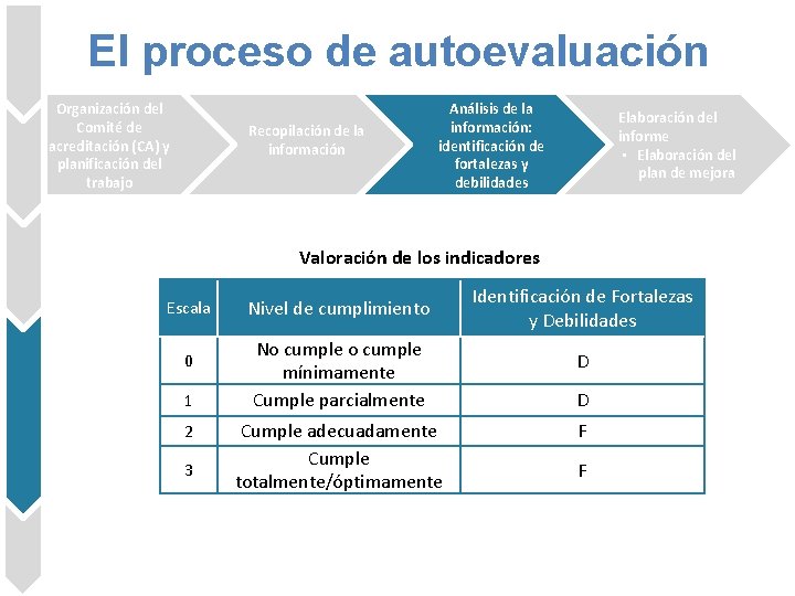 El proceso de autoevaluación Organización del Comité de acreditación (CA) y planificación del trabajo