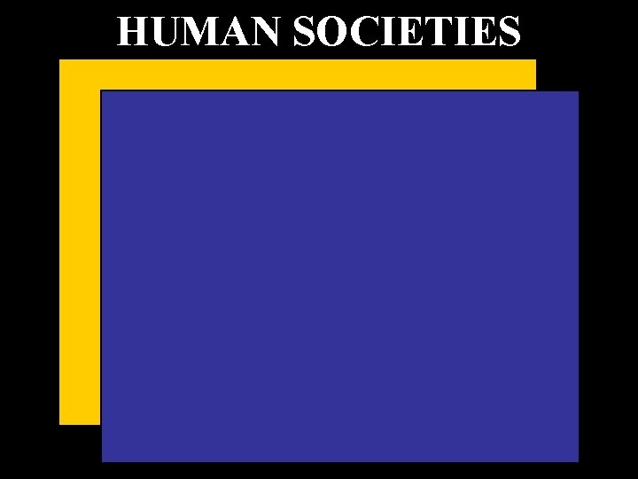 HUMAN SOCIETIES 