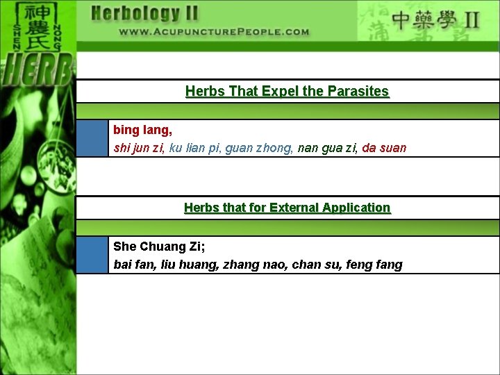 Herbs That Expel the Parasites bing lang, shi jun zi, ku lian pi, guan