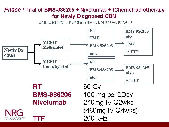 Phase I Trial of BMS-986205 + Nivolumab + (Chemo)radiotherapy for Newly Diagnosed GBM Basic