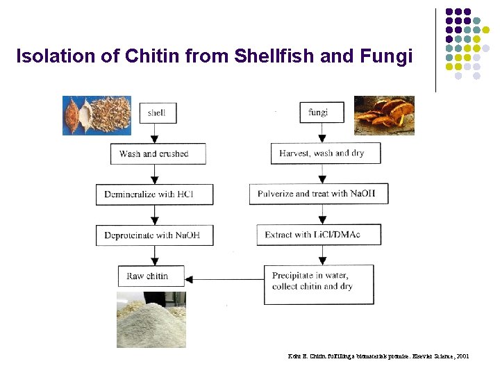 Isolation of Chitin from Shellfish and Fungi Kohr E. Chitin: fulfilling a biomaterials promise.