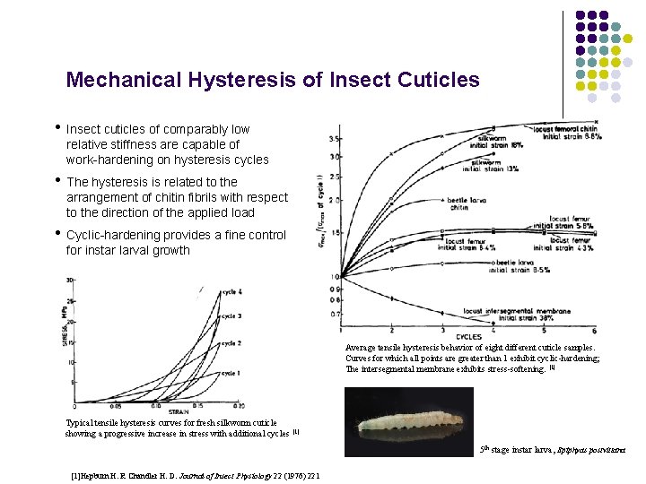 Mechanical Hysteresis of Insect Cuticles • Insect cuticles of comparably low relative stiffness are
