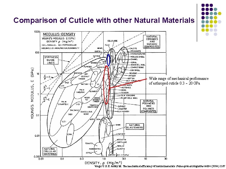 Comparison of Cuticle with other Natural Materials Wide range of mechanical performance of arthropod