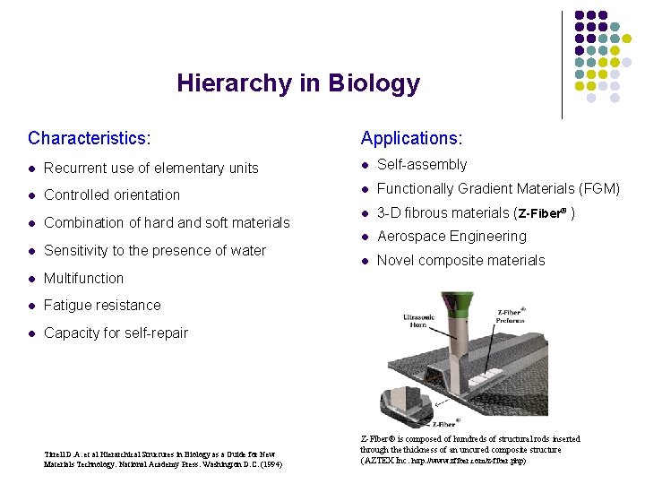 Hierarchy in Biology Characteristics: Applications: l Recurrent use of elementary units l Self-assembly l