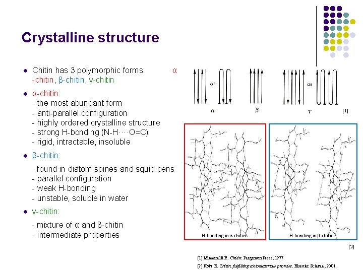 Crystalline structure l Chitin has 3 polymorphic forms: α -chitin, β-chitin, γ-chitin l α-chitin: