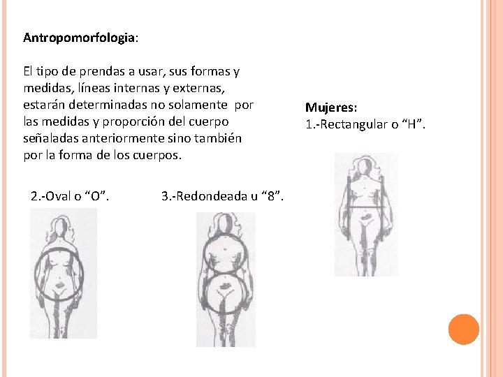 Antropomorfologia: El tipo de prendas a usar, sus formas y medidas, líneas internas y