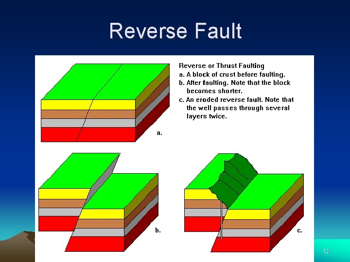 Reverse Fault 12 