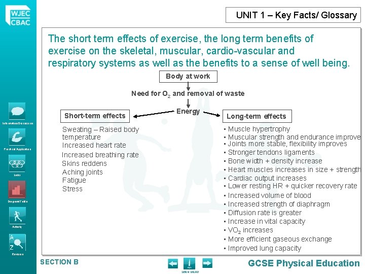 UNIT 1 – Key Facts/ Glossary The short term effects of exercise, the long