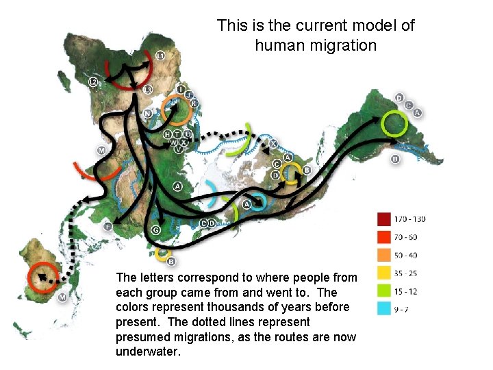 This is the current model of human migration The letters correspond to where people