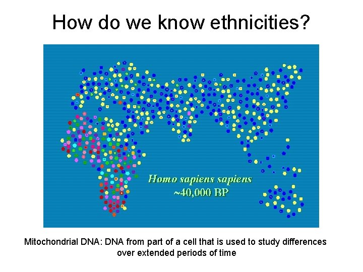 How do we know ethnicities? Mitochondrial DNA: DNA from part of a cell that