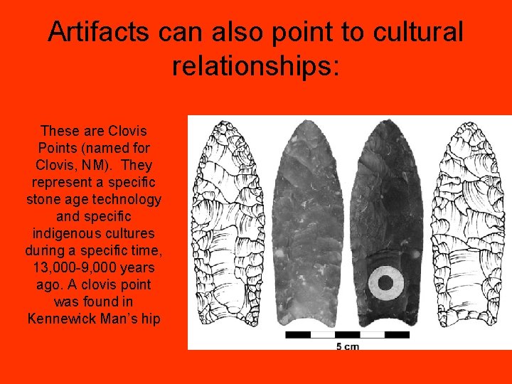 Artifacts can also point to cultural relationships: These are Clovis Points (named for Clovis,