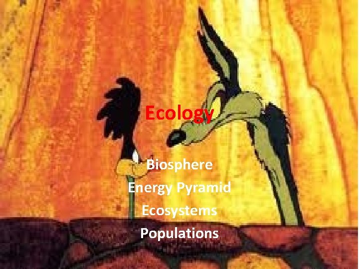 Ecology Biosphere Energy Pyramid Ecosystems Populations 