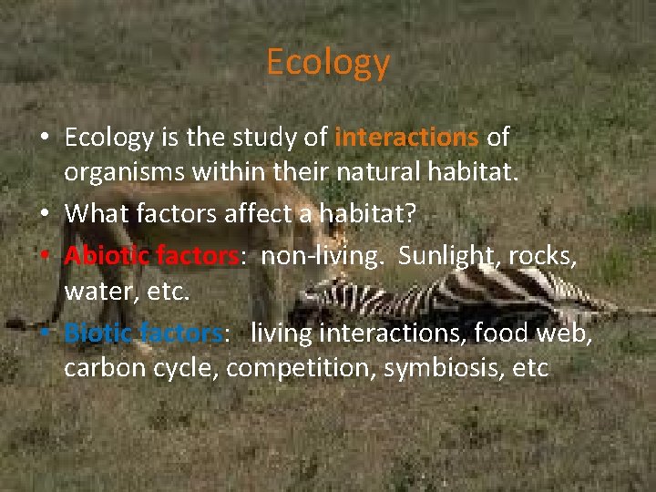 Ecology • Ecology is the study of interactions of organisms within their natural habitat.