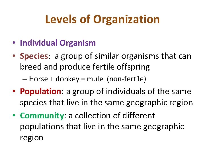 Levels of Organization • Individual Organism • Species: a group of similar organisms that