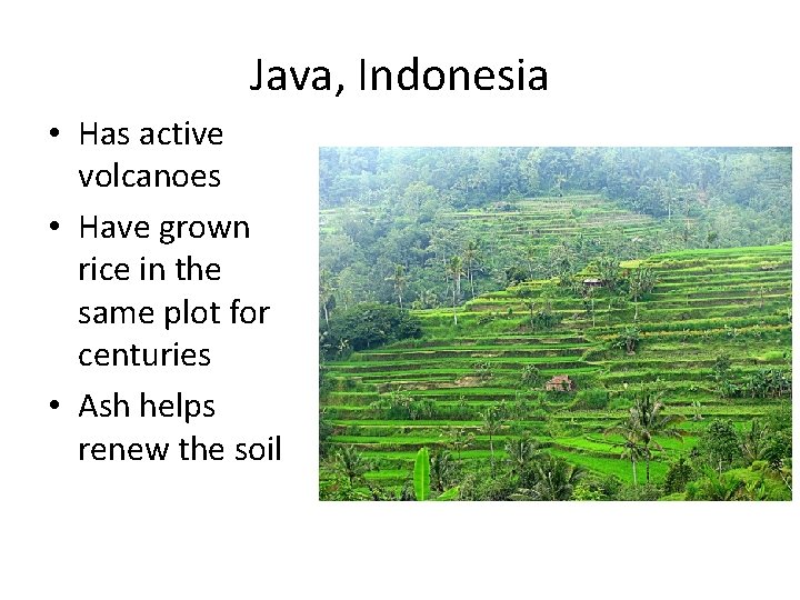 Java, Indonesia • Has active volcanoes • Have grown rice in the same plot