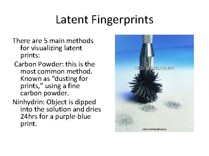 Latent Fingerprints There are 5 main methods for visualizing latent prints: Carbon Powder: this Latent Fingerprints There are 5 main methods for visualizing latent prints: Carbon Powder: this
